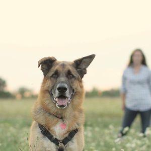 Meet your Posher, Ali